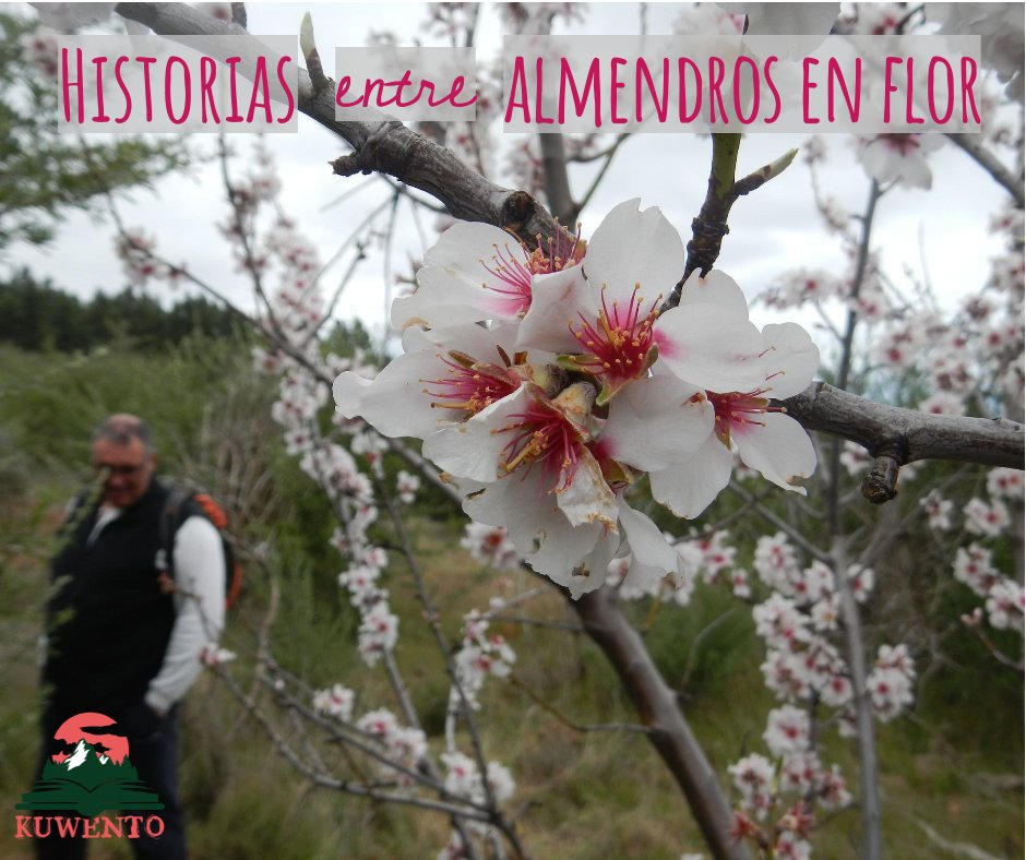 Ruta Almendros en Flor
