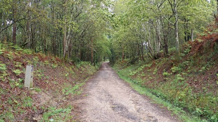 Sendero del Camino de Santiago